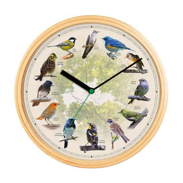 Chirpy zidni sat na ptice koji svaki otkucaj sata obilježava zvukovima cvrkuta ptica.